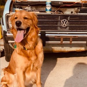 Meet your Posher, Mitchell